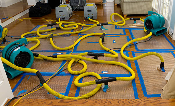 Professional Structural Drying And Dehumidification technician working in Bellemont, AZ